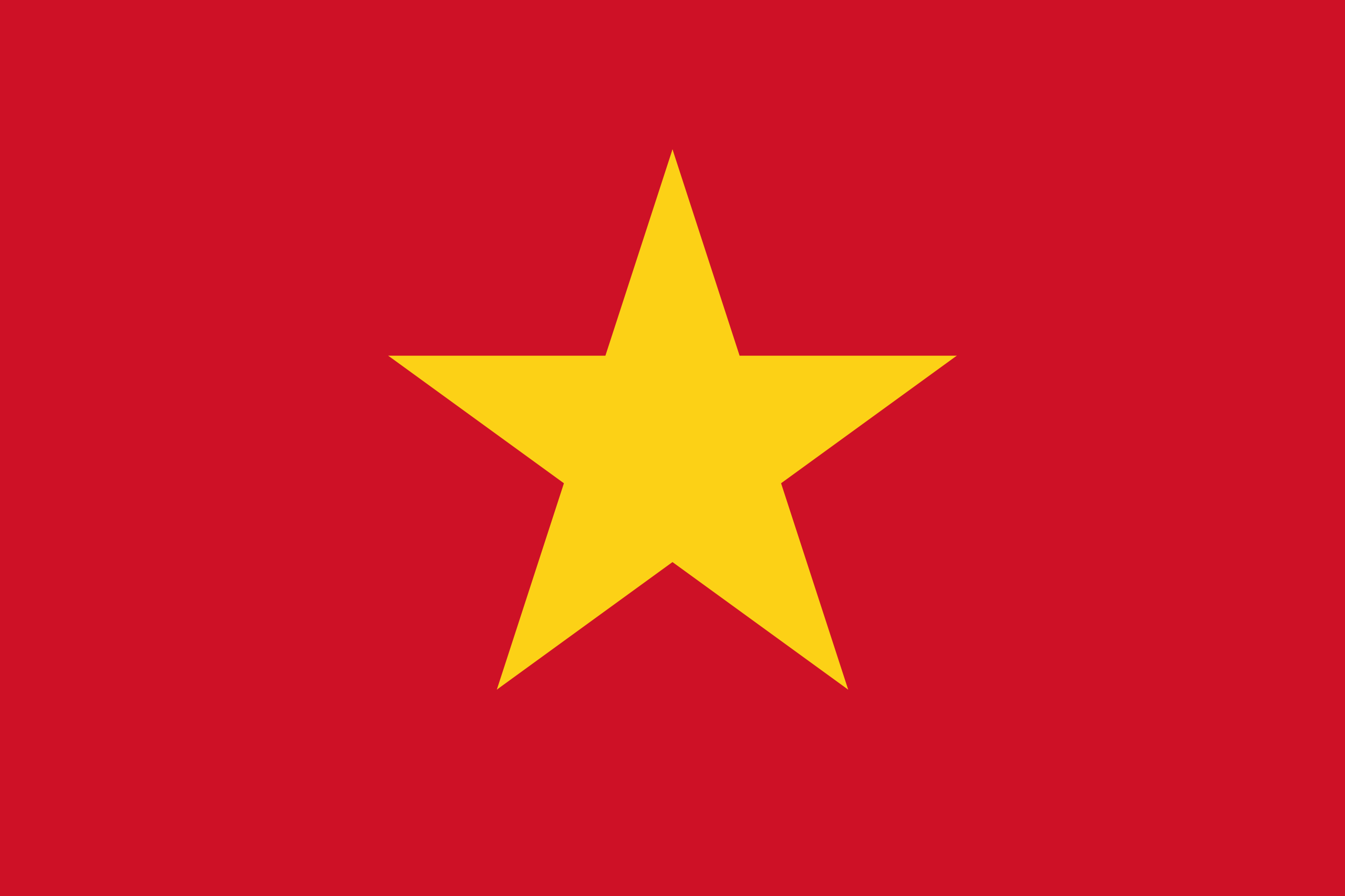 VN Flag